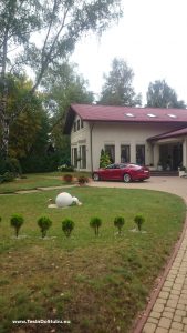 Tesla wynajem na wesele w Dąbrowie Górniczej